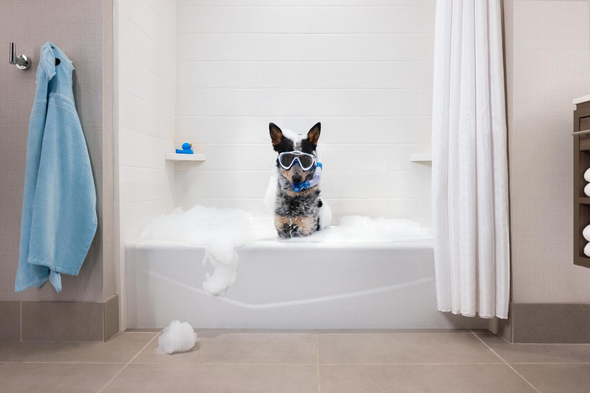 Home2 Suites By Hilton Winter Garden Bagian luar foto